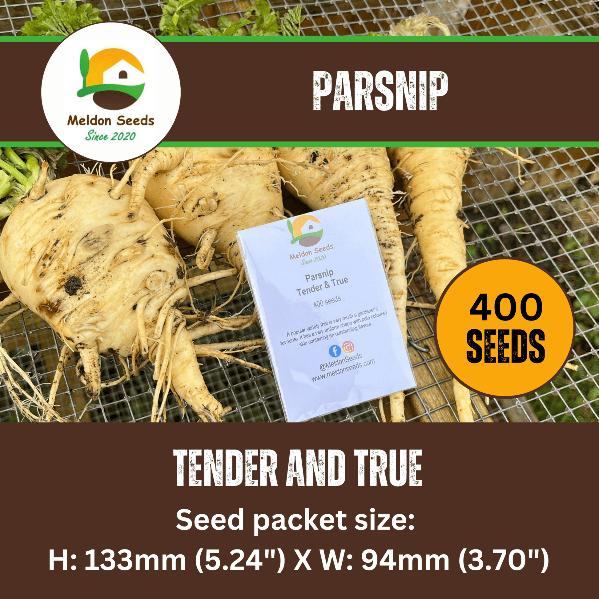 Parsnip Tender and True 400 Seeds - Chartley Chucks