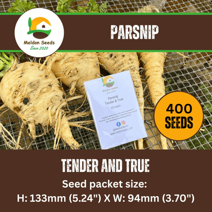 Parsnip Tender and True 400 Seeds - Chartley Chucks