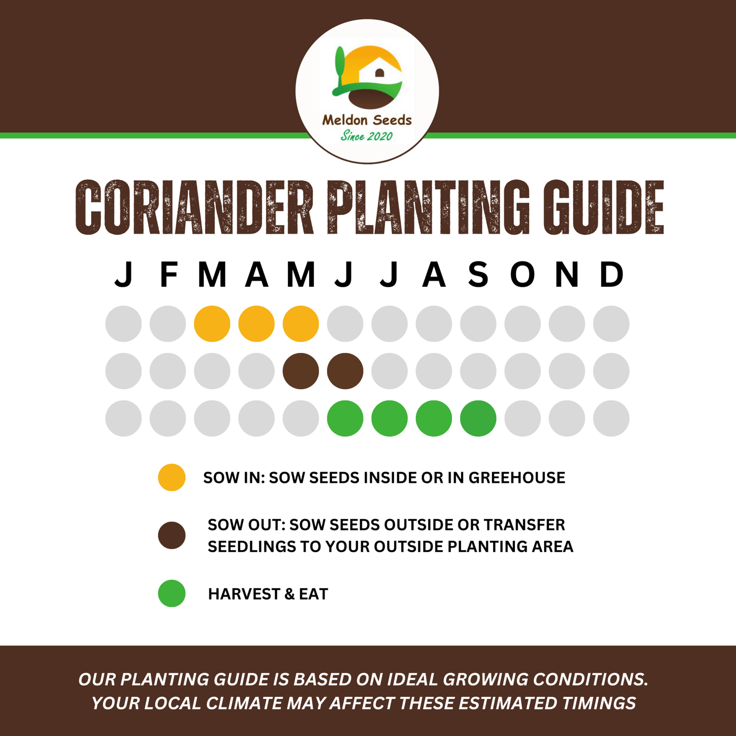 Perfect for Pots Herb Seed Starter Bundle 6 Easy to Grow Herbs Ideal from Growing Indoors in Pots or Containers - Chartley Chucks