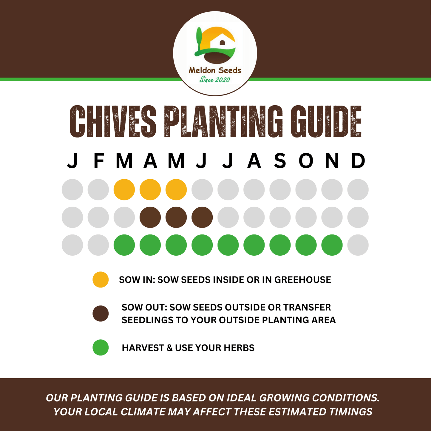 Perfect for Pots Herb Seed Starter Bundle 6 Easy to Grow Herbs Ideal from Growing Indoors in Pots or Containers - Chartley Chucks