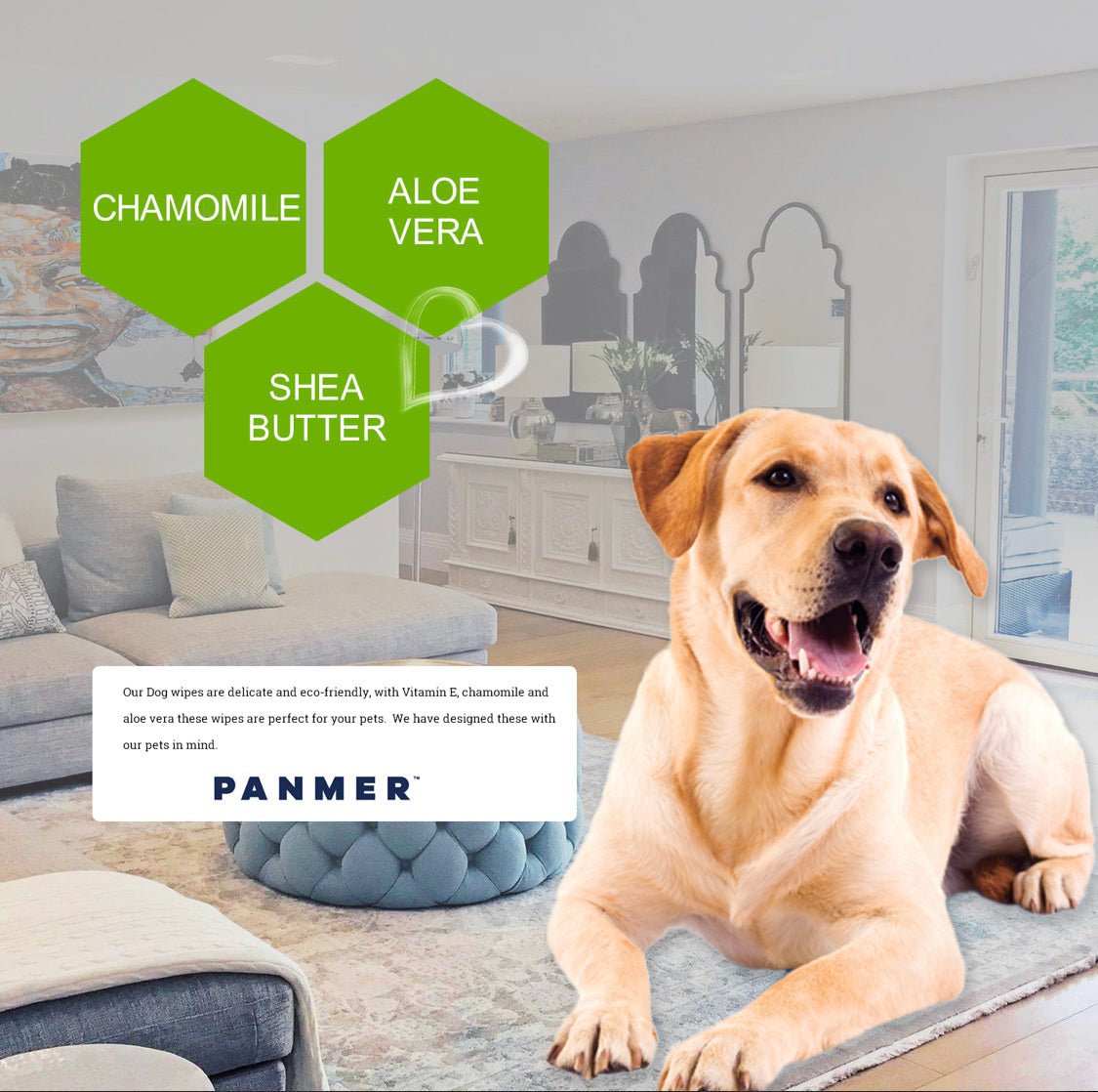 Pet Wipes For Dogs and All Pets Hypoallergenic Unscented Wipes - Chartley Chucks