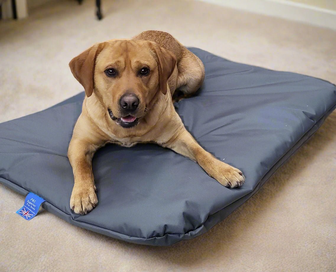 P&L Country Dog Heavy Duty Waterproof Duvet Dog Beds. - Chartley Chucks