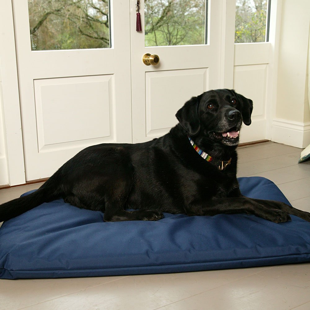 P&L Country Dog Heavy Duty Waterproof Duvet Dog Beds. - Chartley Chucks