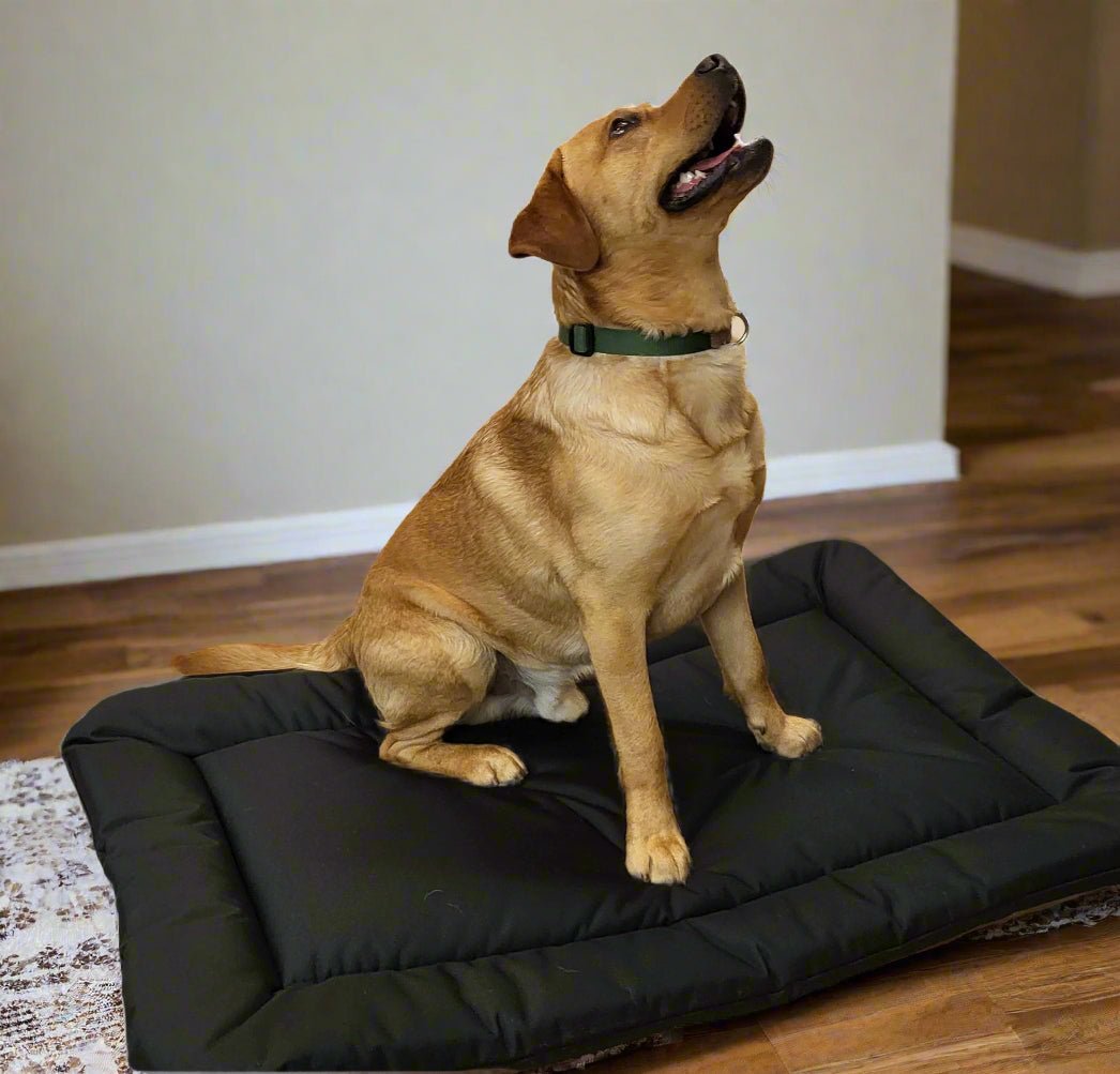 P&L Country Dog Heavy Duty Waterproof Rectangular Cushion Pad Dog Beds. - Chartley Chucks