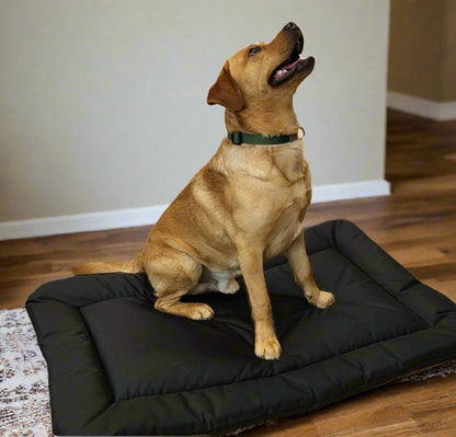 P&L Country Dog Heavy Duty Waterproof Rectangular Cushion Pad Dog Beds. - Chartley Chucks