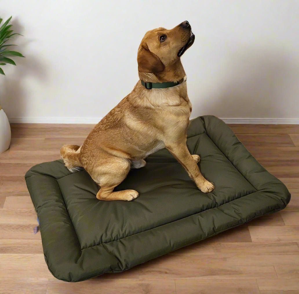 P&L Country Dog Heavy Duty Waterproof Rectangular Cushion Pad Dog Beds. - Chartley Chucks