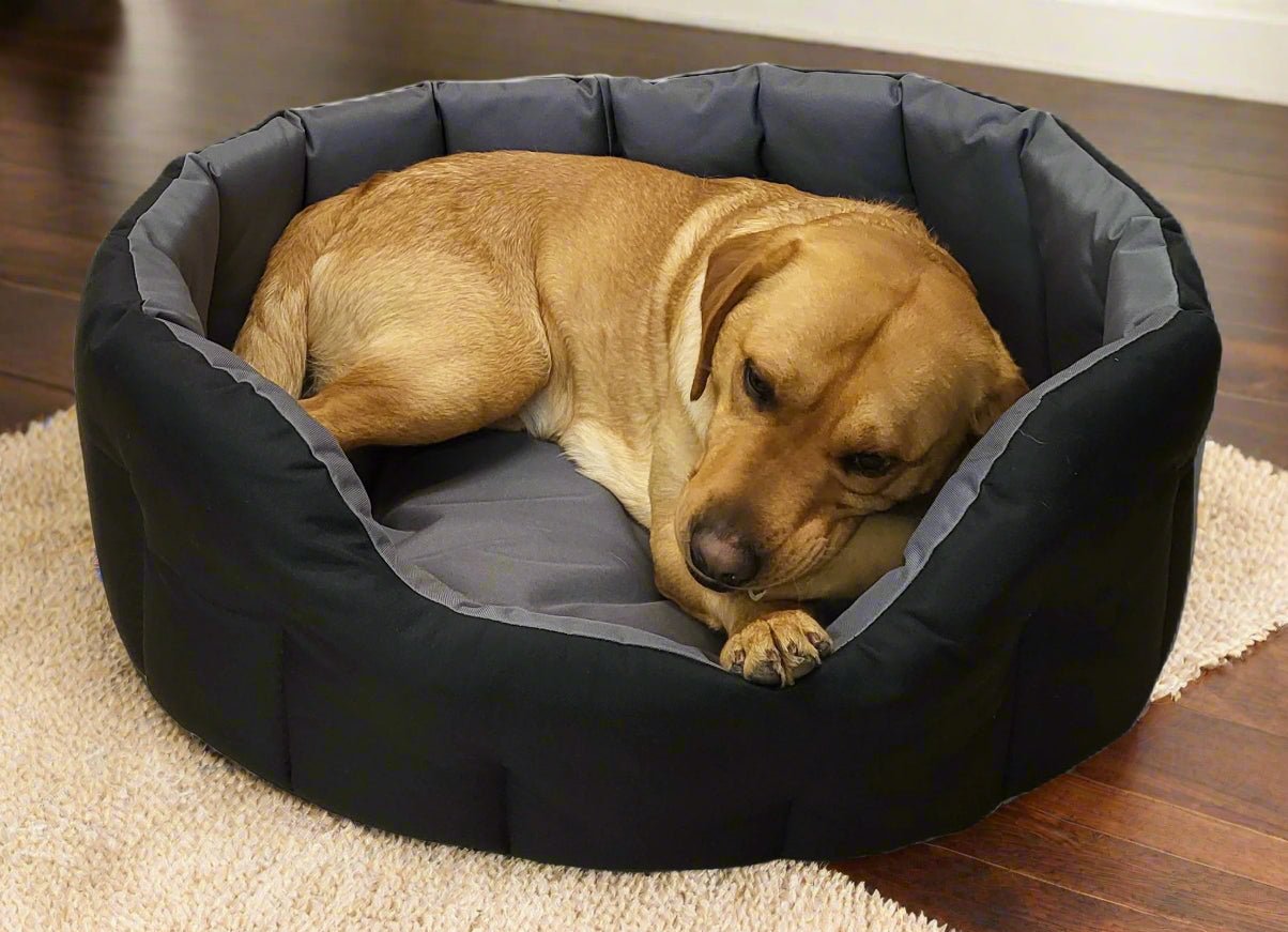 P&L Country Dog Tough Heavy Duty Oval High Sided Waterproof Dog Beds. - Chartley Chucks