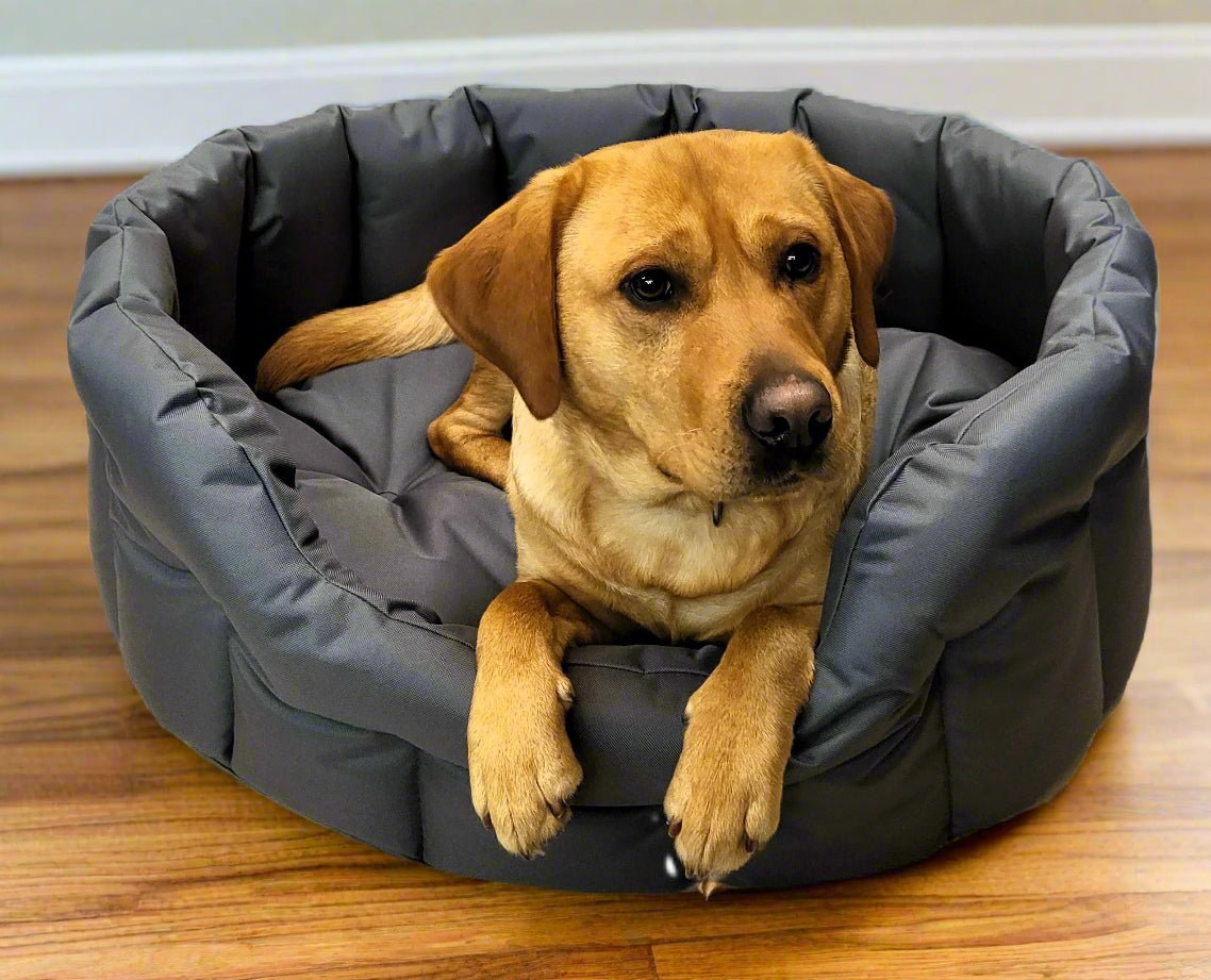 P&L Country Dog Tough Heavy Duty Oval High Sided Waterproof Dog Beds. - Chartley Chucks