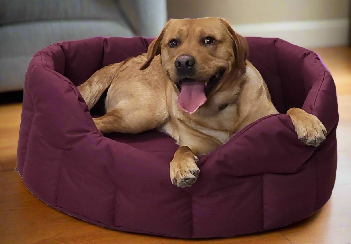 P&L Country Dog Tough Heavy Duty Oval High Sided Waterproof Dog Beds. - Chartley Chucks