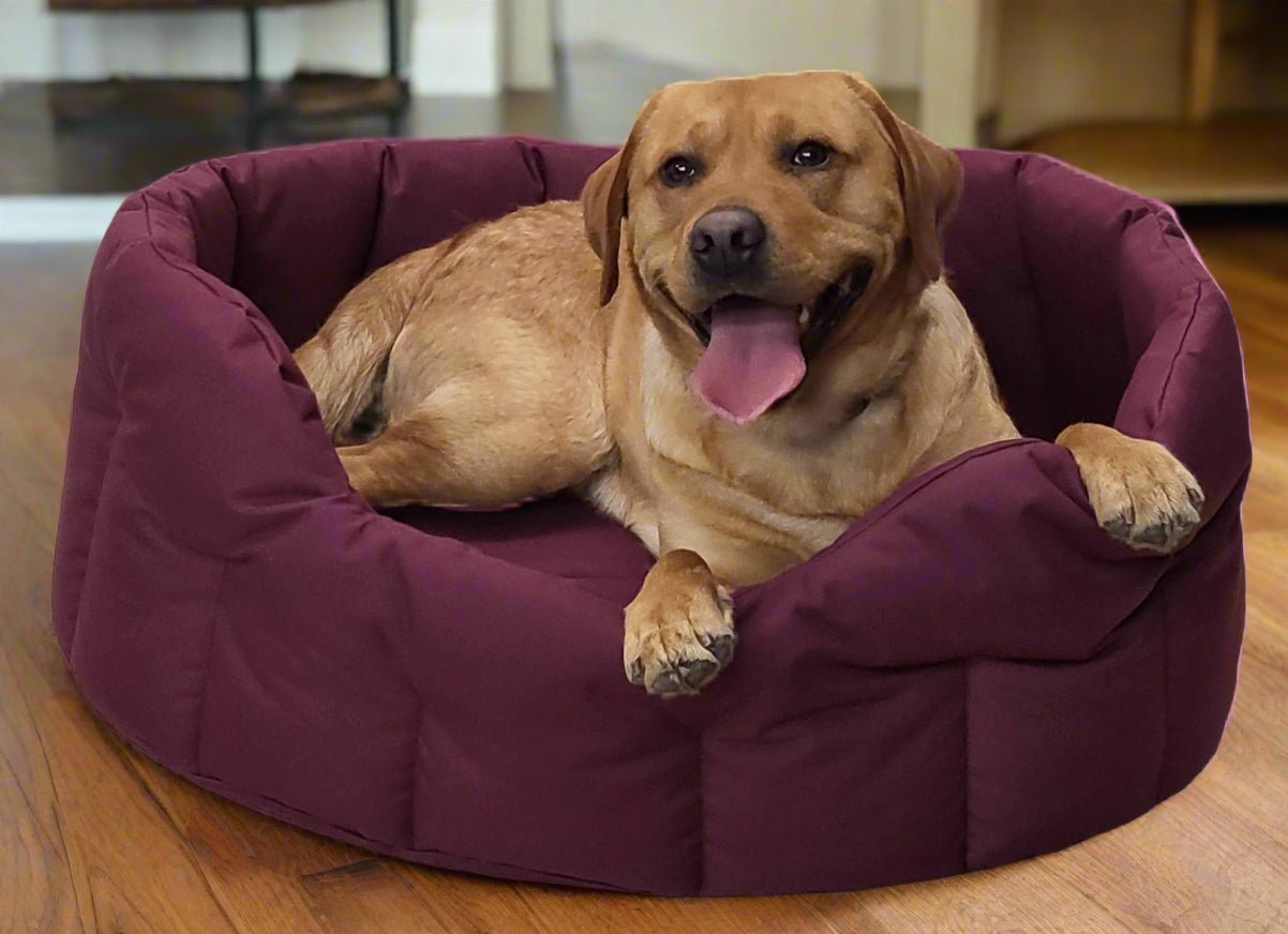P&L Country Dog Tough Heavy Duty Oval High Sided Waterproof Dog Beds. - Chartley Chucks
