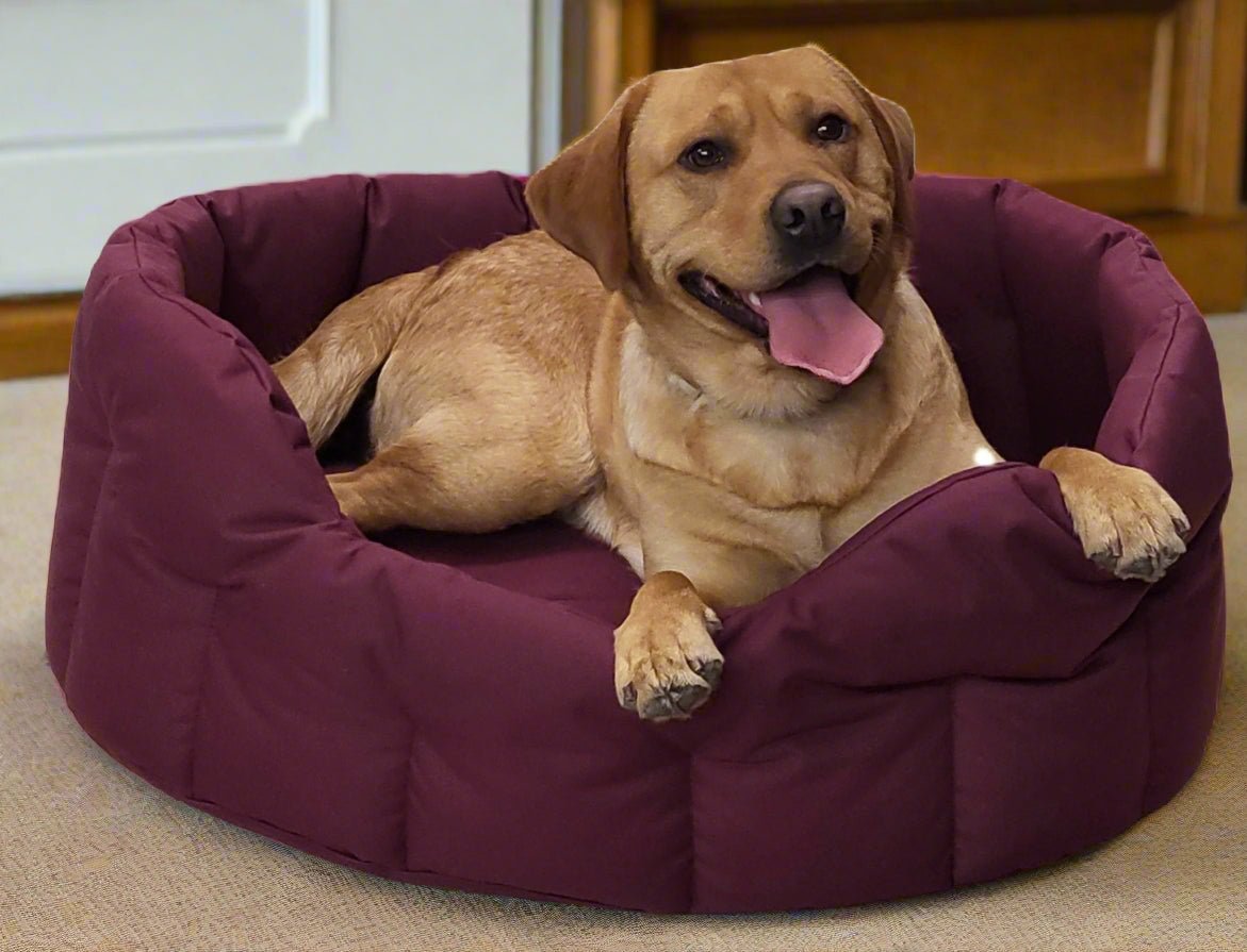 P&L Country Dog Tough Heavy Duty Oval High Sided Waterproof Dog Beds. - Chartley Chucks