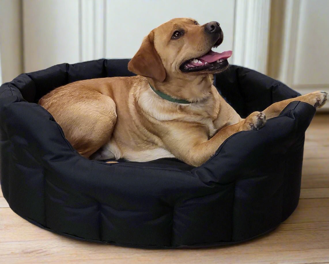 P&L Country Dog Tough Heavy Duty Oval High Sided Waterproof Dog Beds. - Chartley Chucks