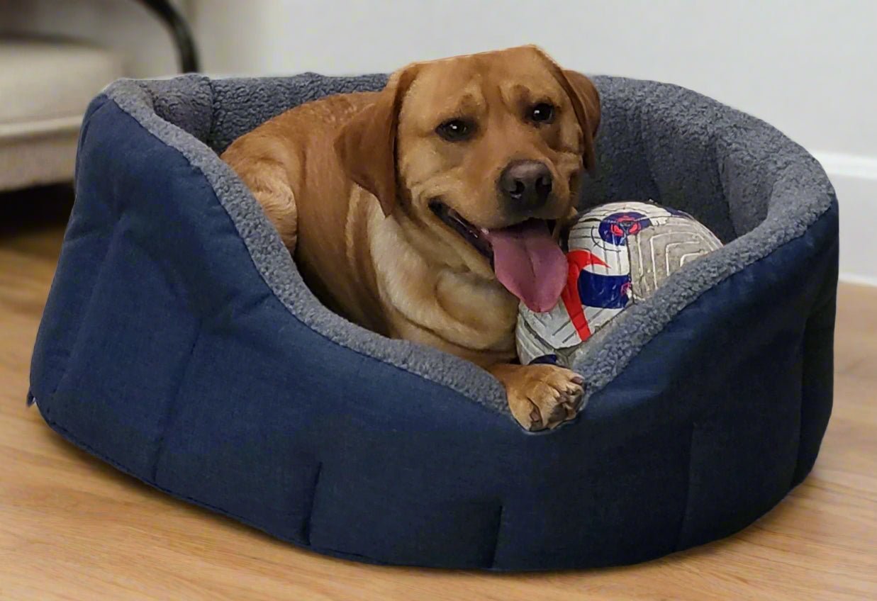 Premium Oval Bolster Style Heavy Duty Fleece Lined Machine Washable Dog Bed - Chartley Chucks