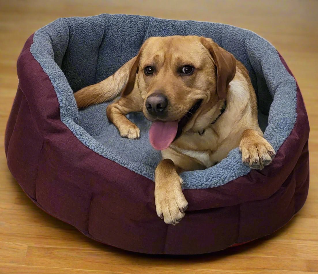 Premium Oval Bolster Style Heavy Duty Fleece Lined Machine Washable Dog Bed - Chartley Chucks