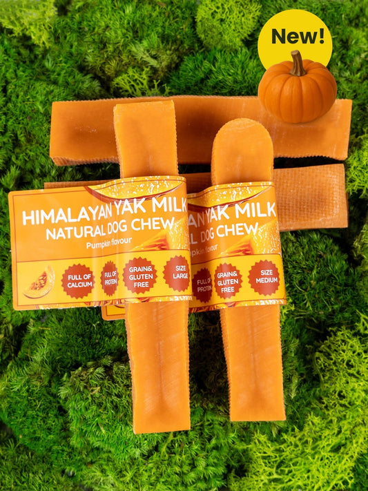 Pumpkin Yak Dog Chew - Chartley Chucks