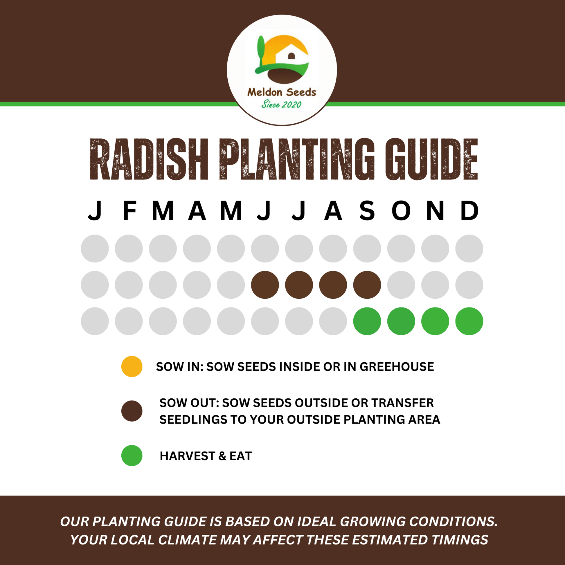 Radish Black Spanish Round 500 Seeds - Chartley Chucks