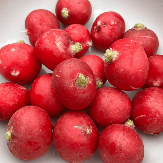 Radish Cherry Belle 500 Seeds - Chartley Chucks