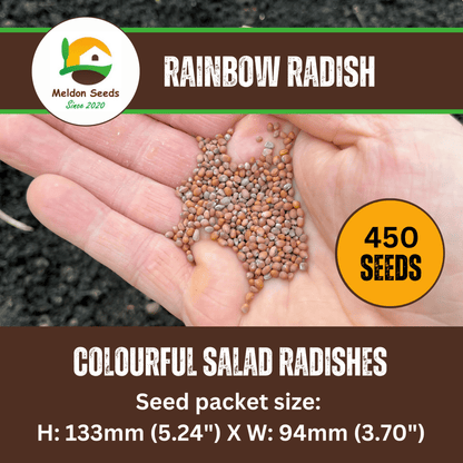Radish Rainbow Mix 500 Seeds - Chartley Chucks