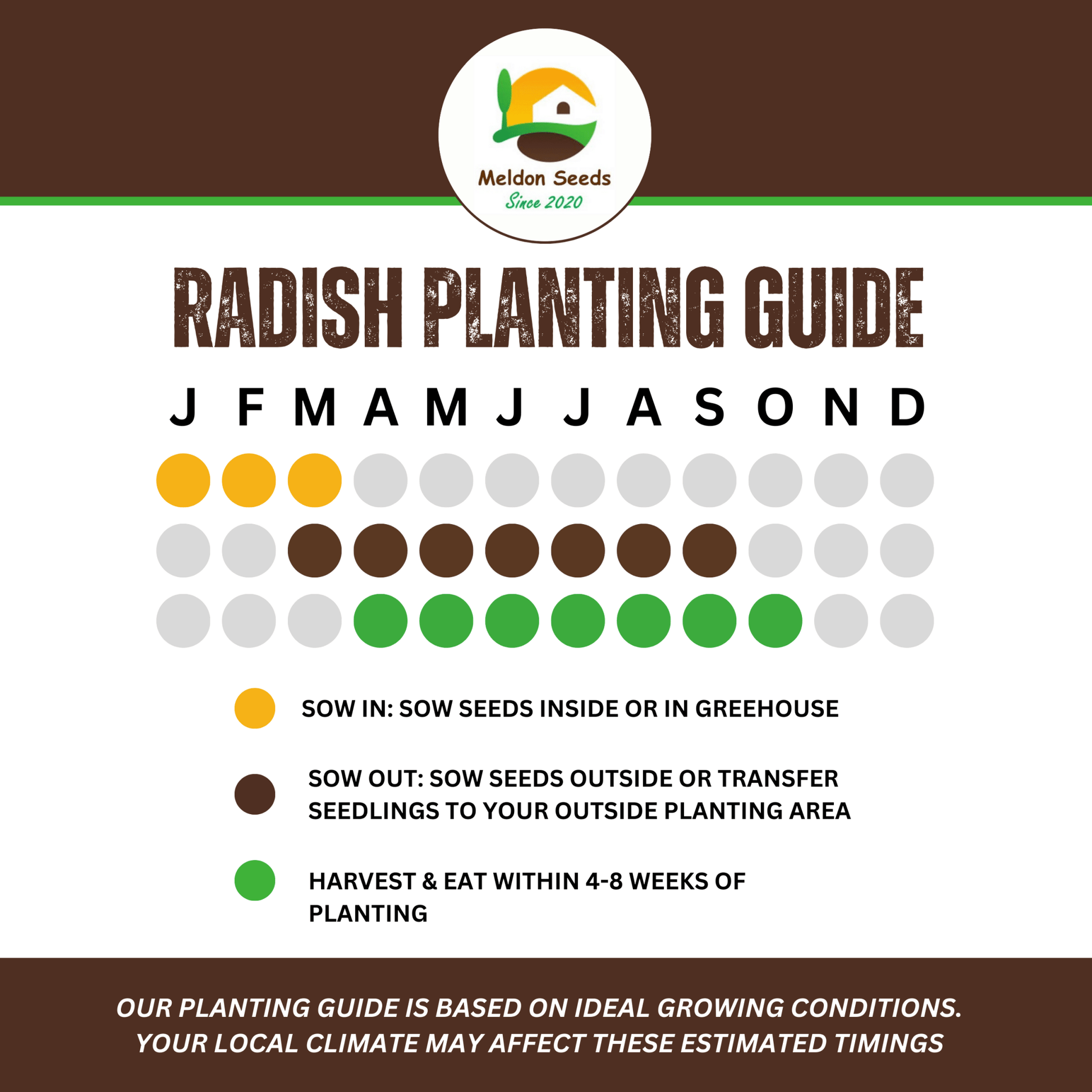 Radish Rainbow Mix 500 Seeds - Chartley Chucks