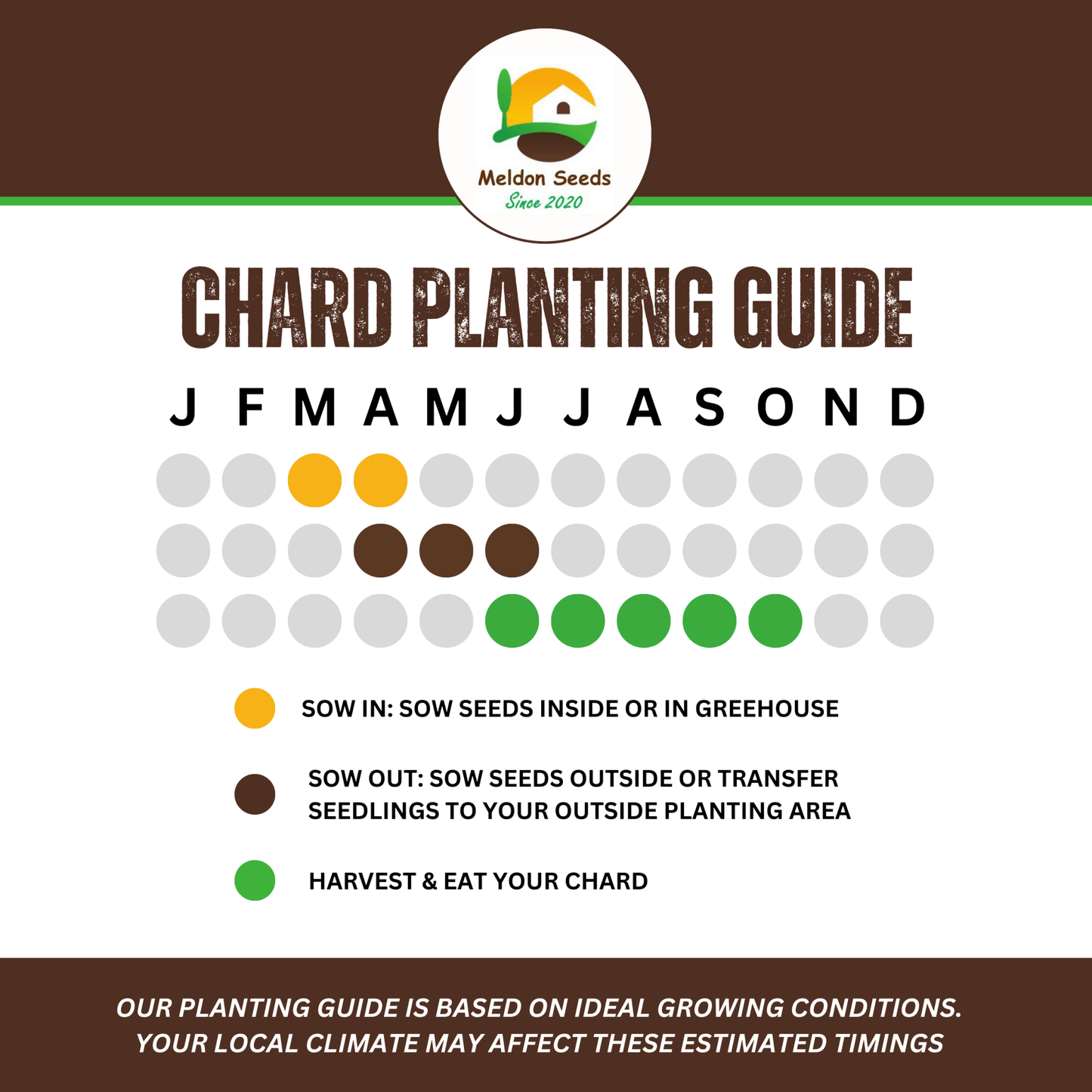 Rainbow Vegetables Collection. 5 Colourful Vegetable Varieties. - Chartley Chucks