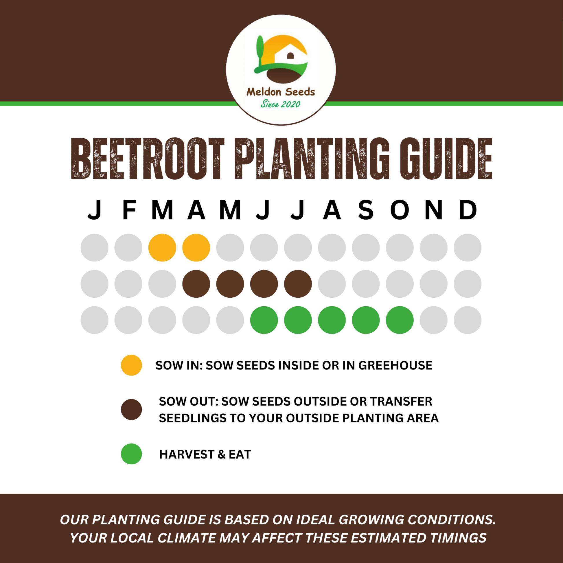 Rainbow Vegetables Collection. 5 Colourful Vegetable Varieties. - Chartley Chucks