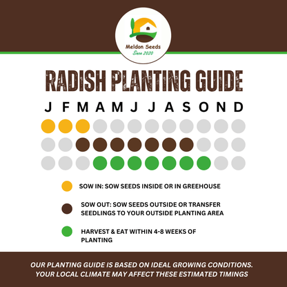 Rainbow Vegetables Collection. 5 Colourful Vegetable Varieties. - Chartley Chucks