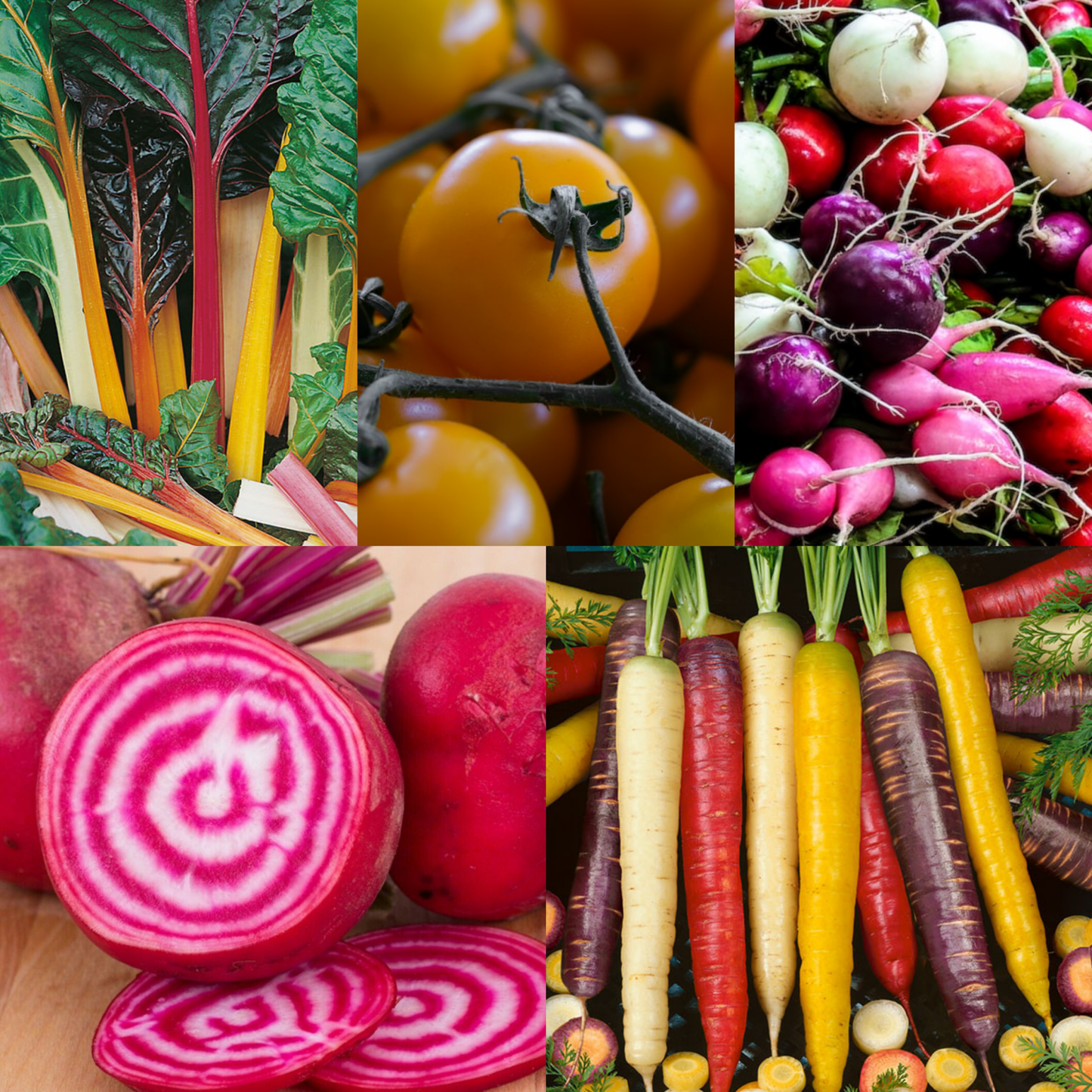 Rainbow Vegetables Collection. 5 Colourful Vegetable Varieties. - Chartley Chucks