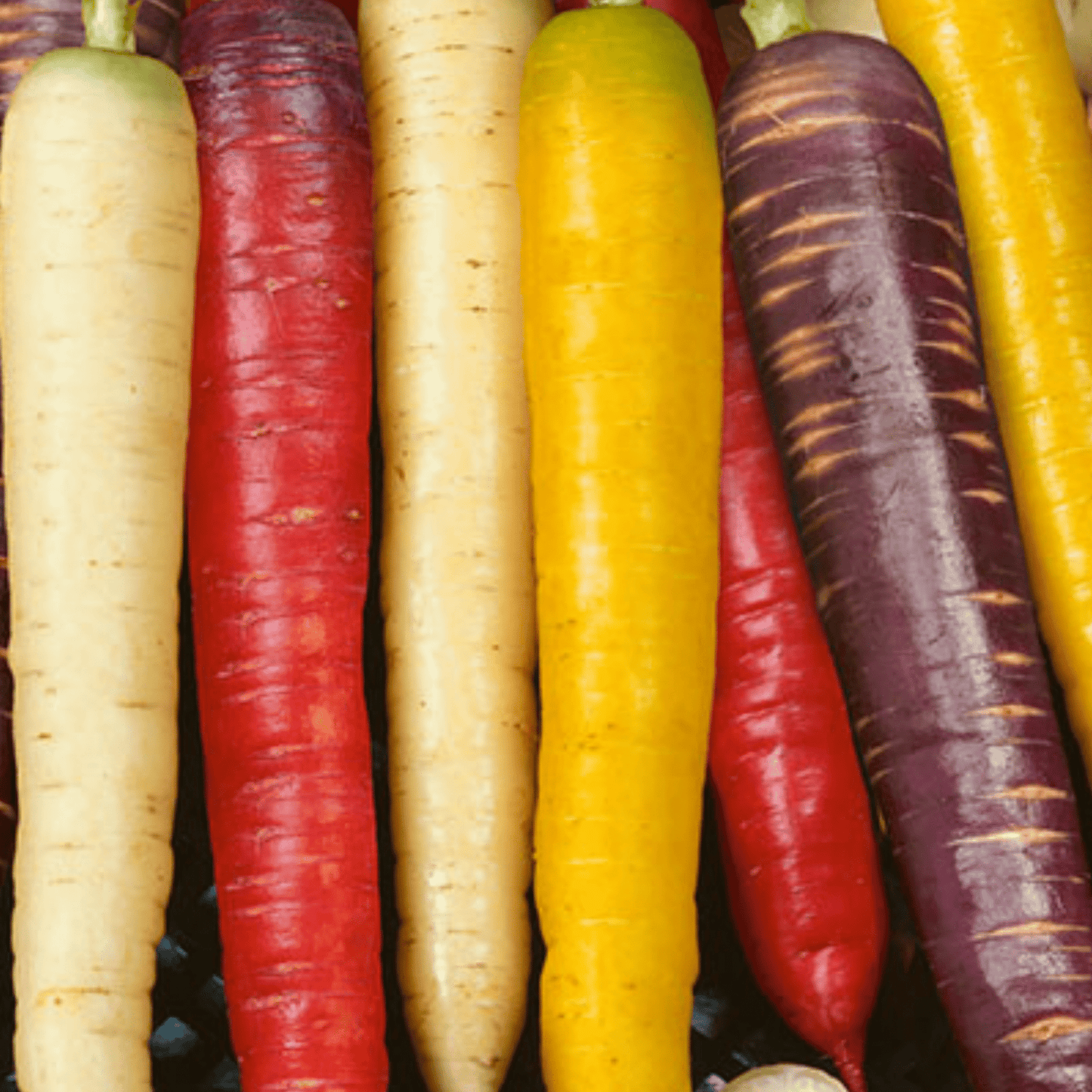 Rainbow Vegetables Collection. 5 Colourful Vegetable Varieties. - Chartley Chucks