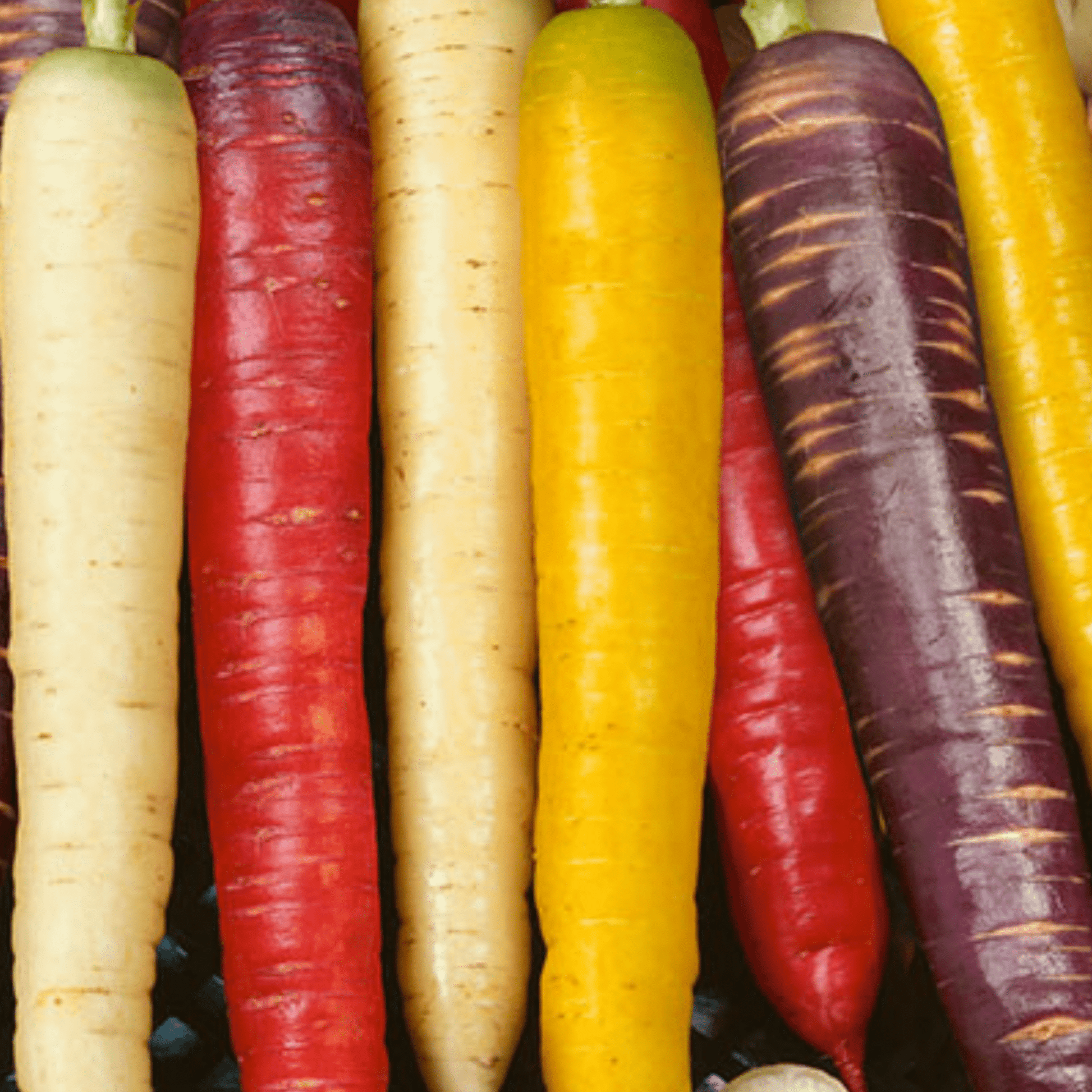 Rainbow Vegetables Collection. 5 Colourful Vegetable Varieties. - Chartley Chucks