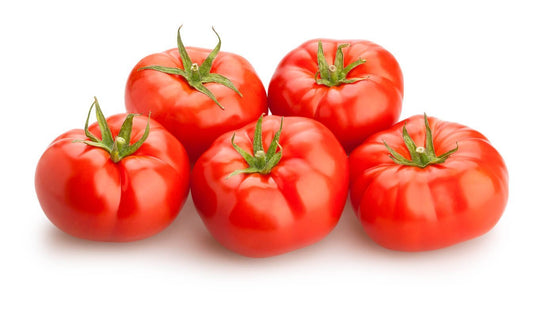 Red Beef Tomato Plug Plants "Grow Your Own" Fruit 'Ready to Plant Now' Young Vegetable Plants **Letterbox Friendly** - Chartley Chucks