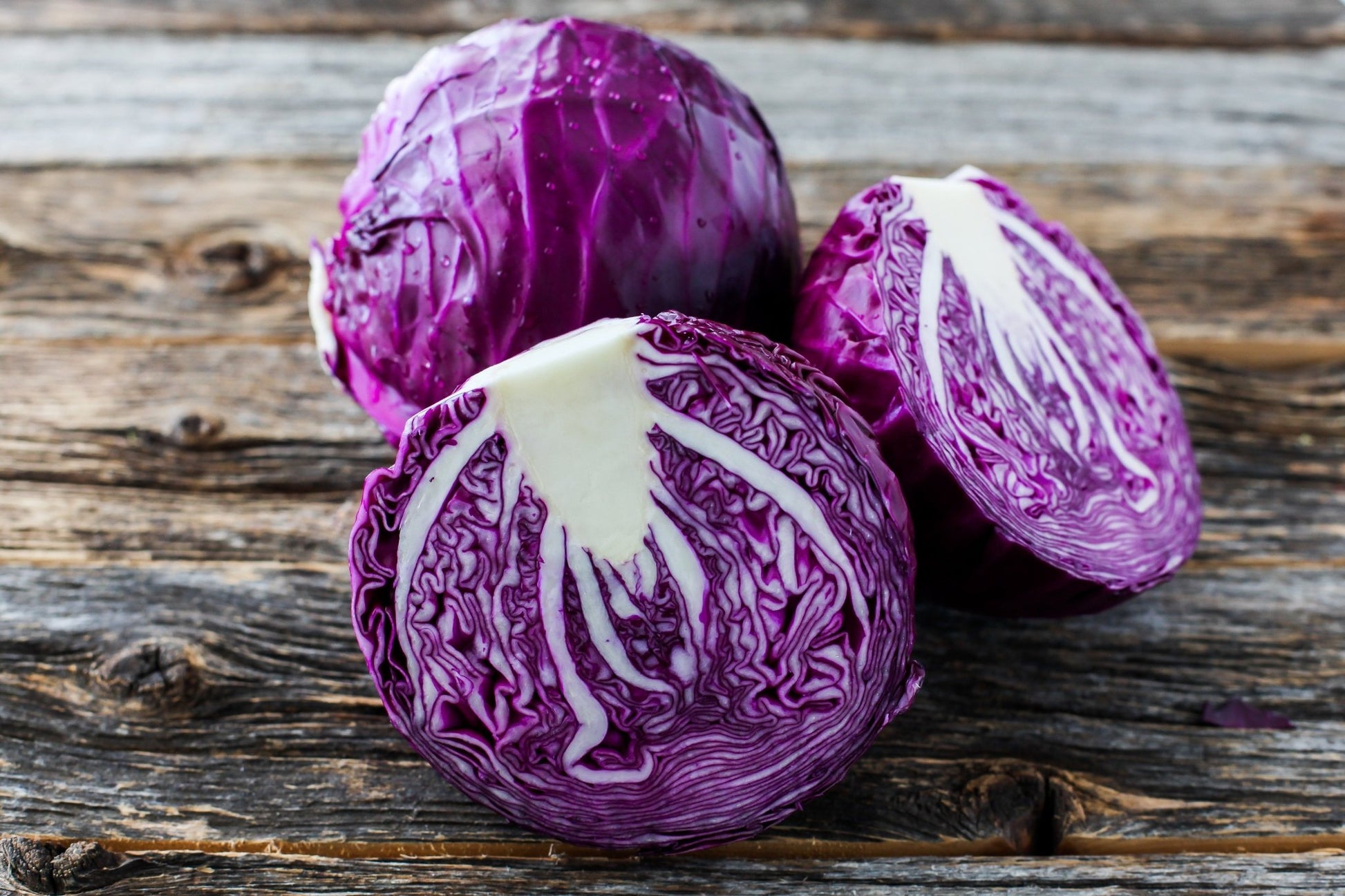 Red Cabbage Plug Plants - "Grow Your Own" Vegetables **Letterbox Friendly** - Chartley Chucks