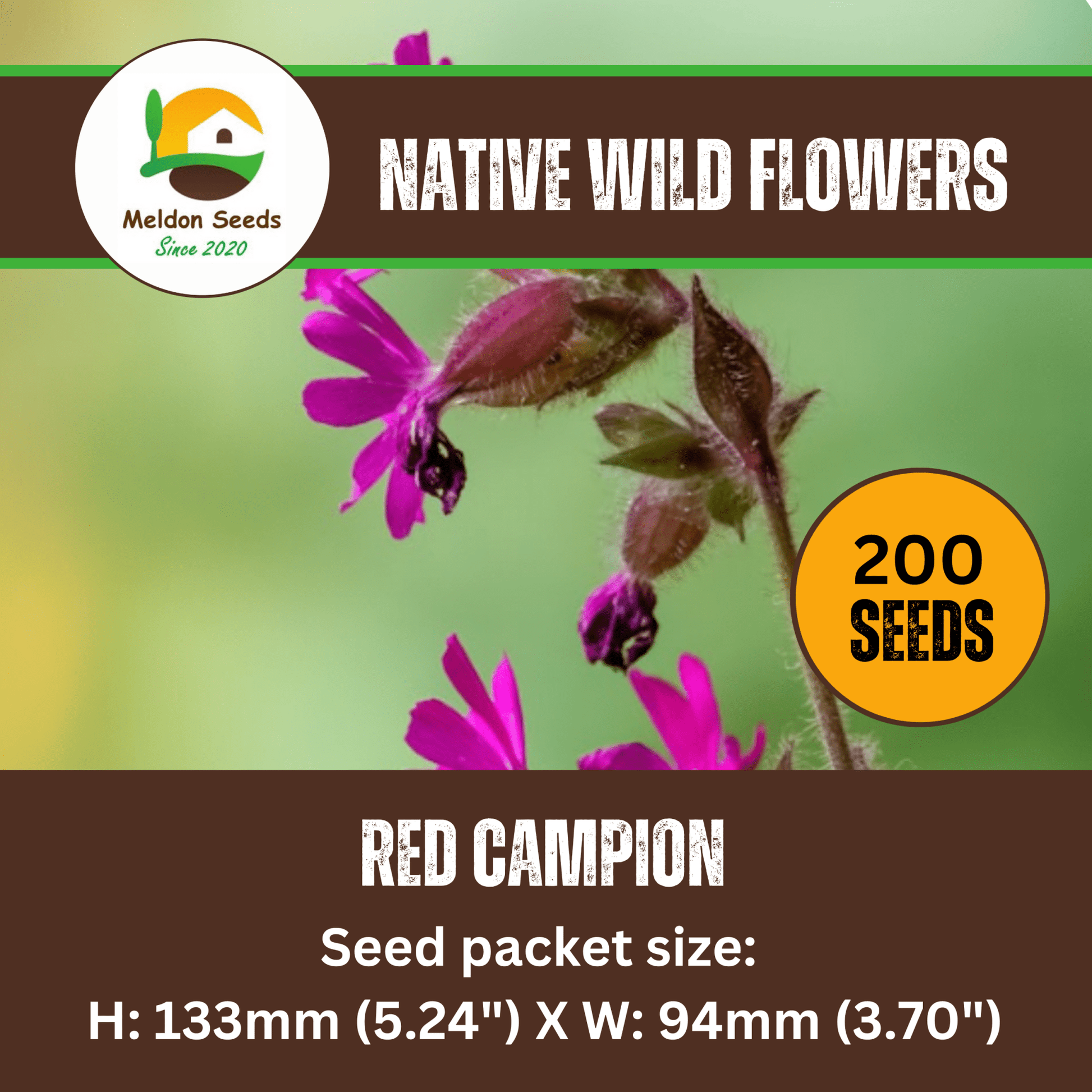 Red Campion Seeds - 200 Native UK Wild Flower Seeds for Attracting Birds, Bees, Wildlife, Pollinators, Suitable for Planting and Growing Outdoors in Meadows, Fields, and Gardens by Meldon Seeds - Chartley Chucks