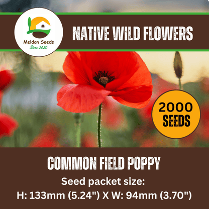 Red Field Poppy Seeds - 2000 Native UK Wild Flower Seeds for Attracting Bees, Pollinators, Also known as Flanders Poppy, Suitable for Planting and Growing Outdoors in Meadows, Fields, Gardens and Borders - Chartley Chucks