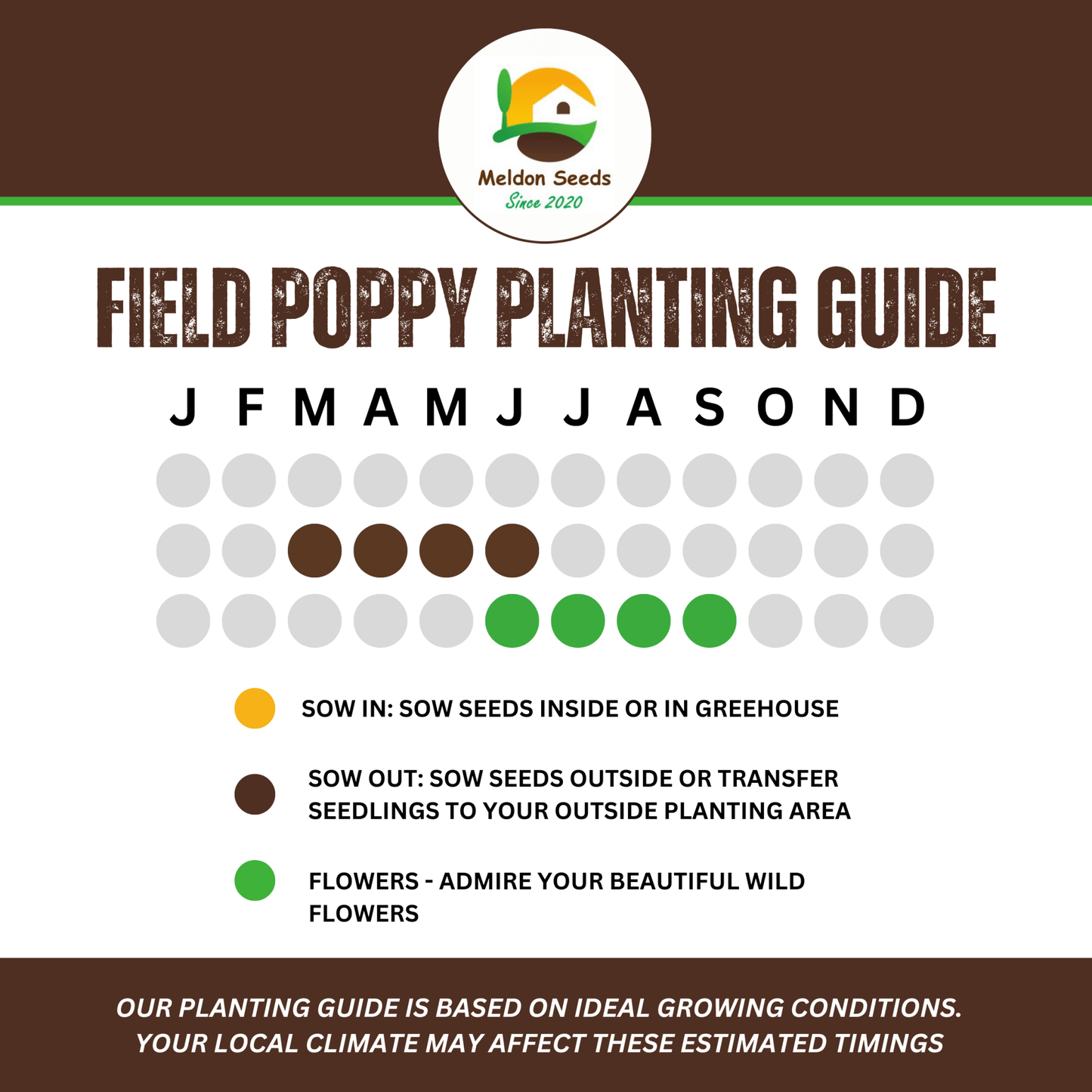 Red Field Poppy Seeds - 2000 Native UK Wild Flower Seeds for Attracting Bees, Pollinators, Also known as Flanders Poppy, Suitable for Planting and Growing Outdoors in Meadows, Fields, Gardens and Borders - Chartley Chucks