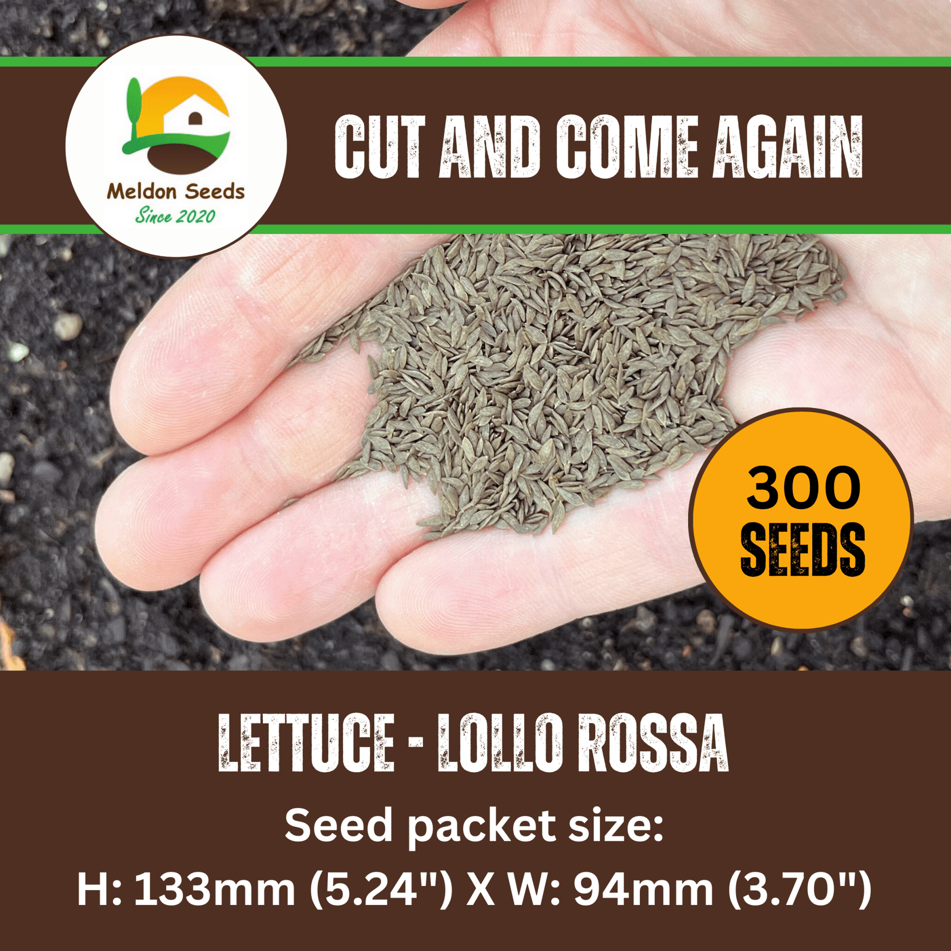 Red Lettuce Lollo Rossa Seeds x 300 - Chartley Chucks
