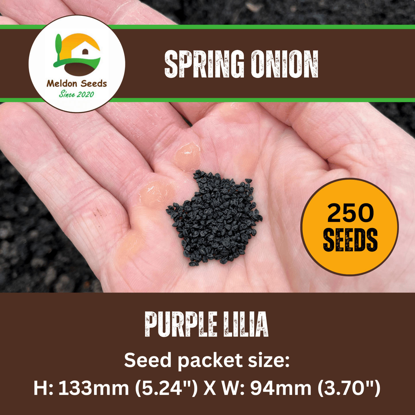 Red Spring Onion Lilia Purple Seeds x 250 - Chartley Chucks