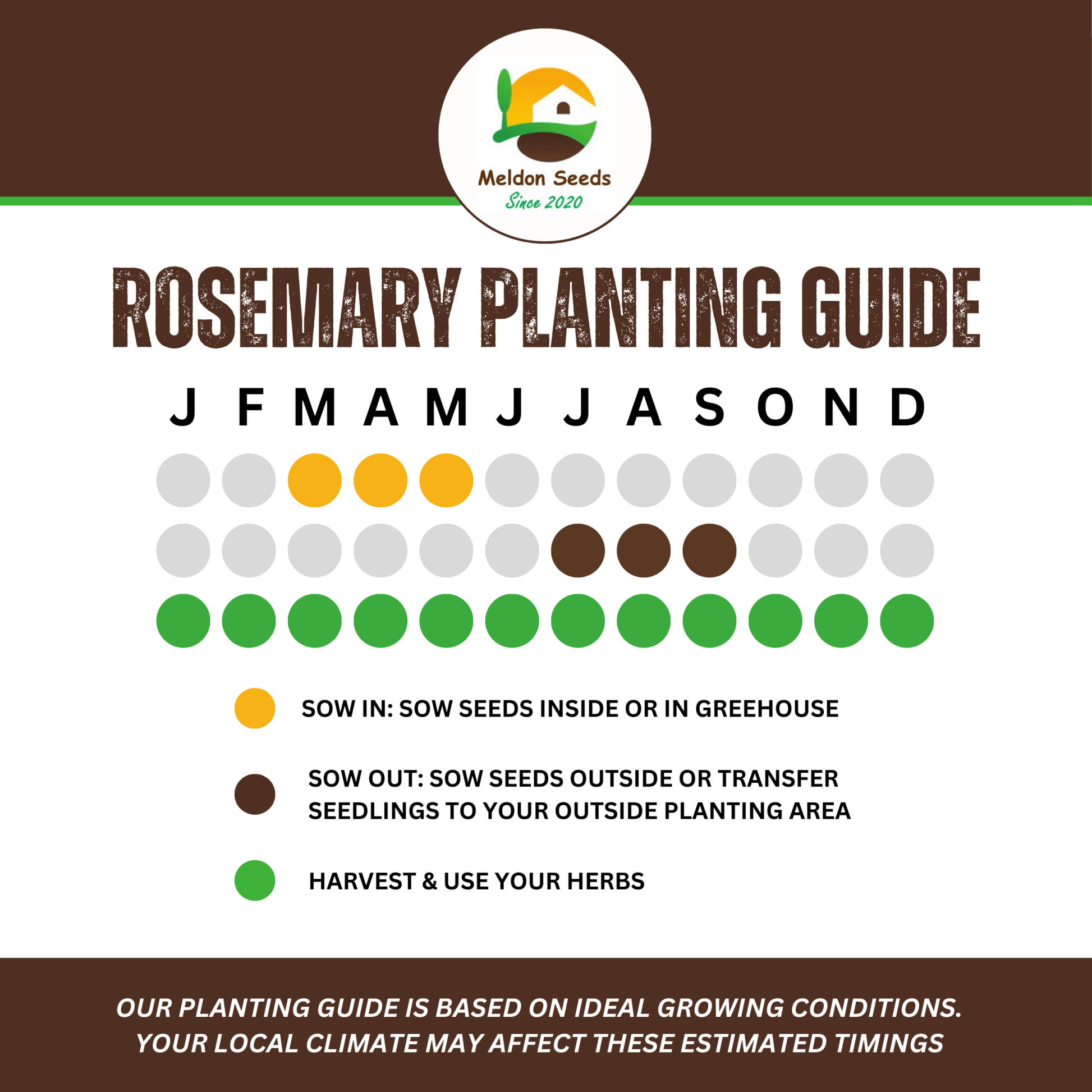 Rosemary 50 Seeds - Chartley Chucks