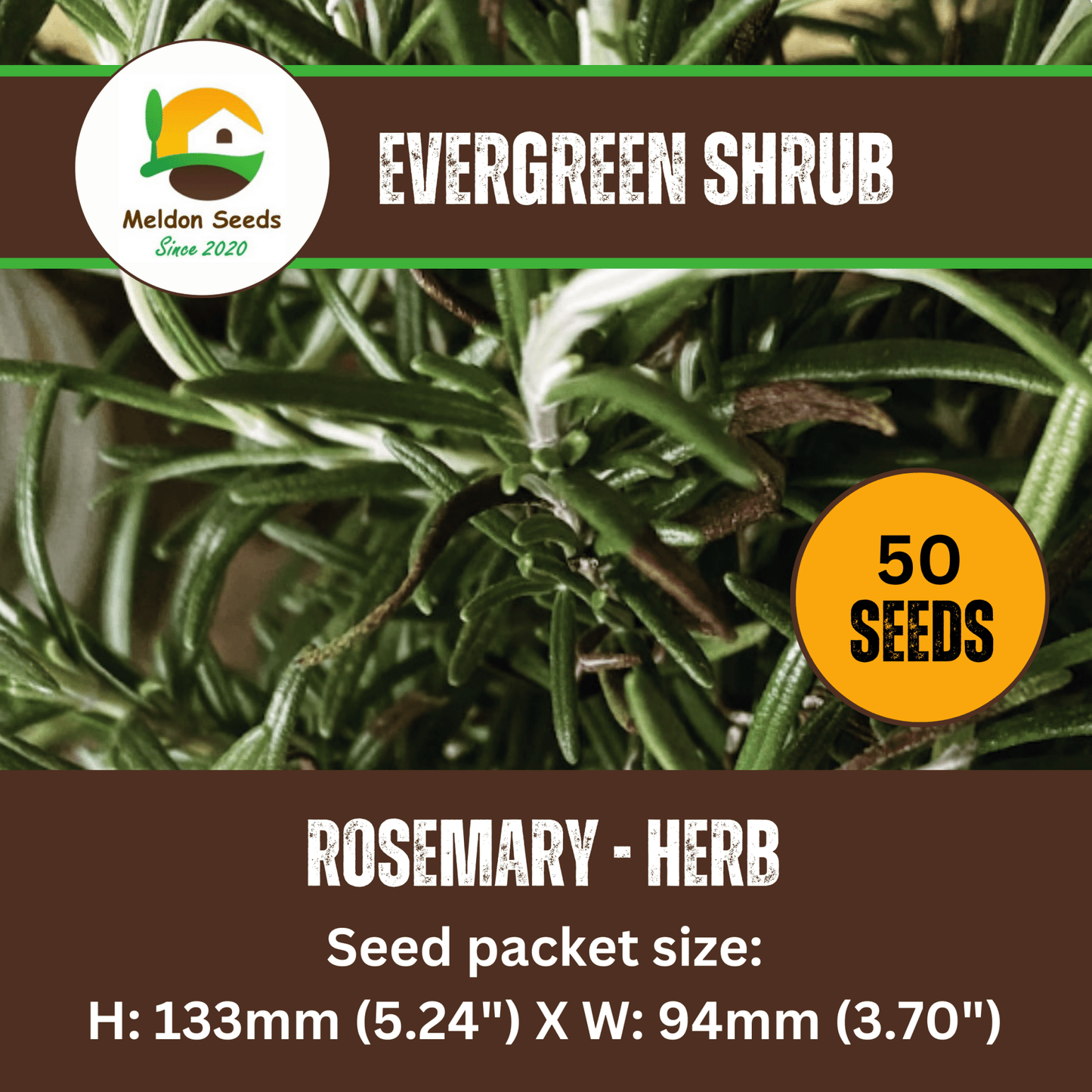 Rosemary 50 Seeds - Chartley Chucks