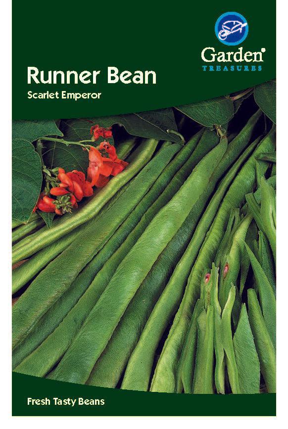 Runner Bean Scarlet Emperor Seeds - Chartley Chucks