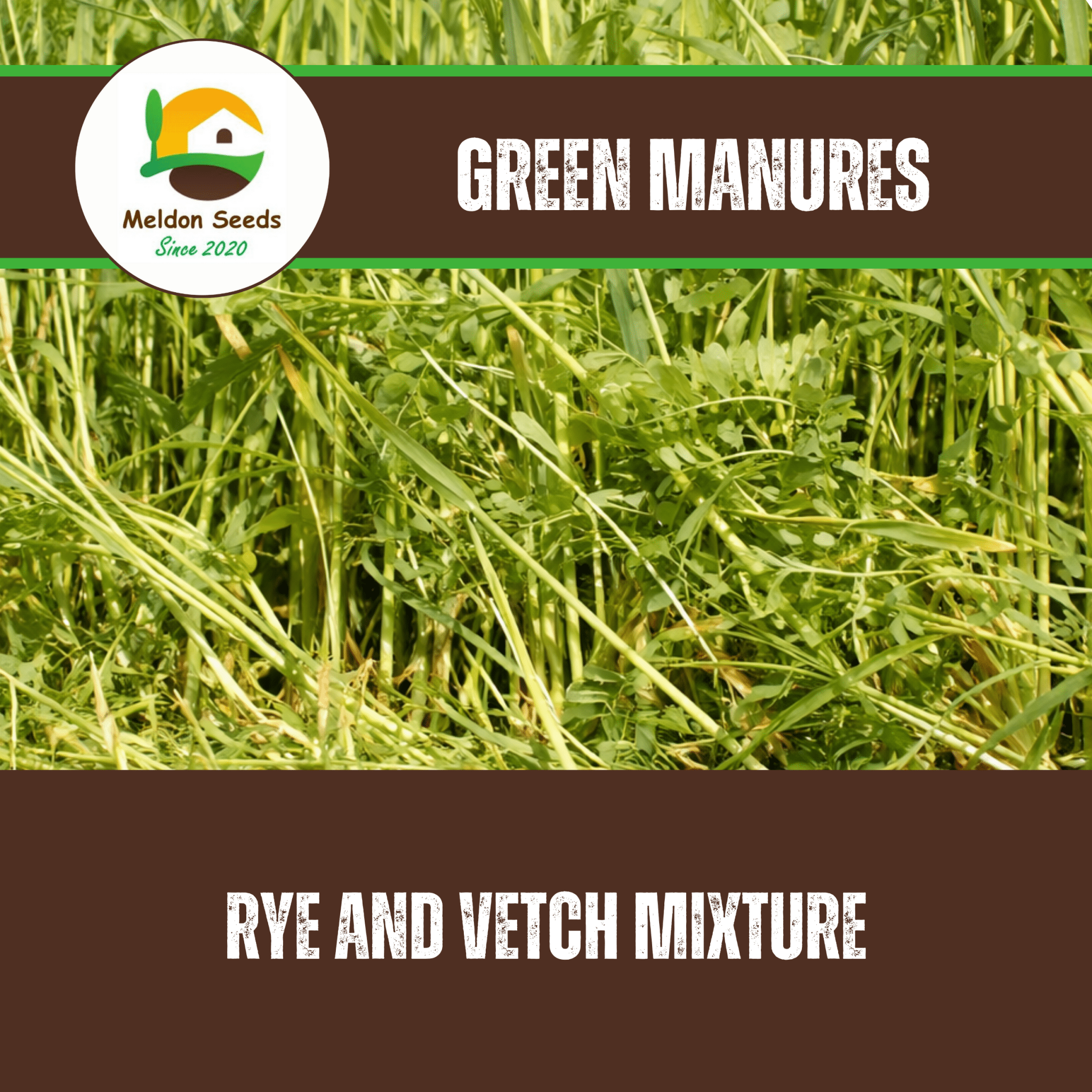 Vetch Rye Rye and Vetch Green Manure Seed Mix - 1kg for sale – Chartley Chucks