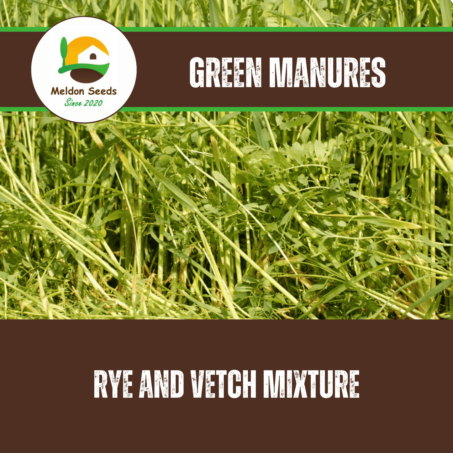 Rye and Vetch Green Manure Seed Mix - 1kg - Chartley Chucks