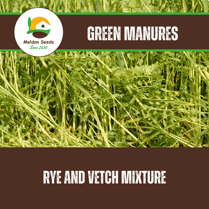 Rye and Vetch Green Manure Seed Mix - 1kg - Chartley Chucks
