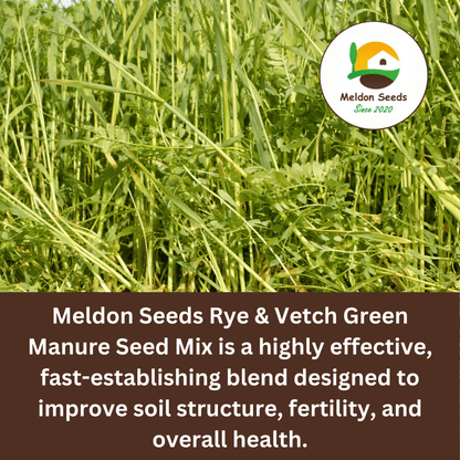 Rye and Vetch Green Manure Seed Mix - 1kg - Chartley Chucks