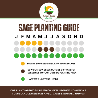 Sage 50 Seeds - Chartley Chucks