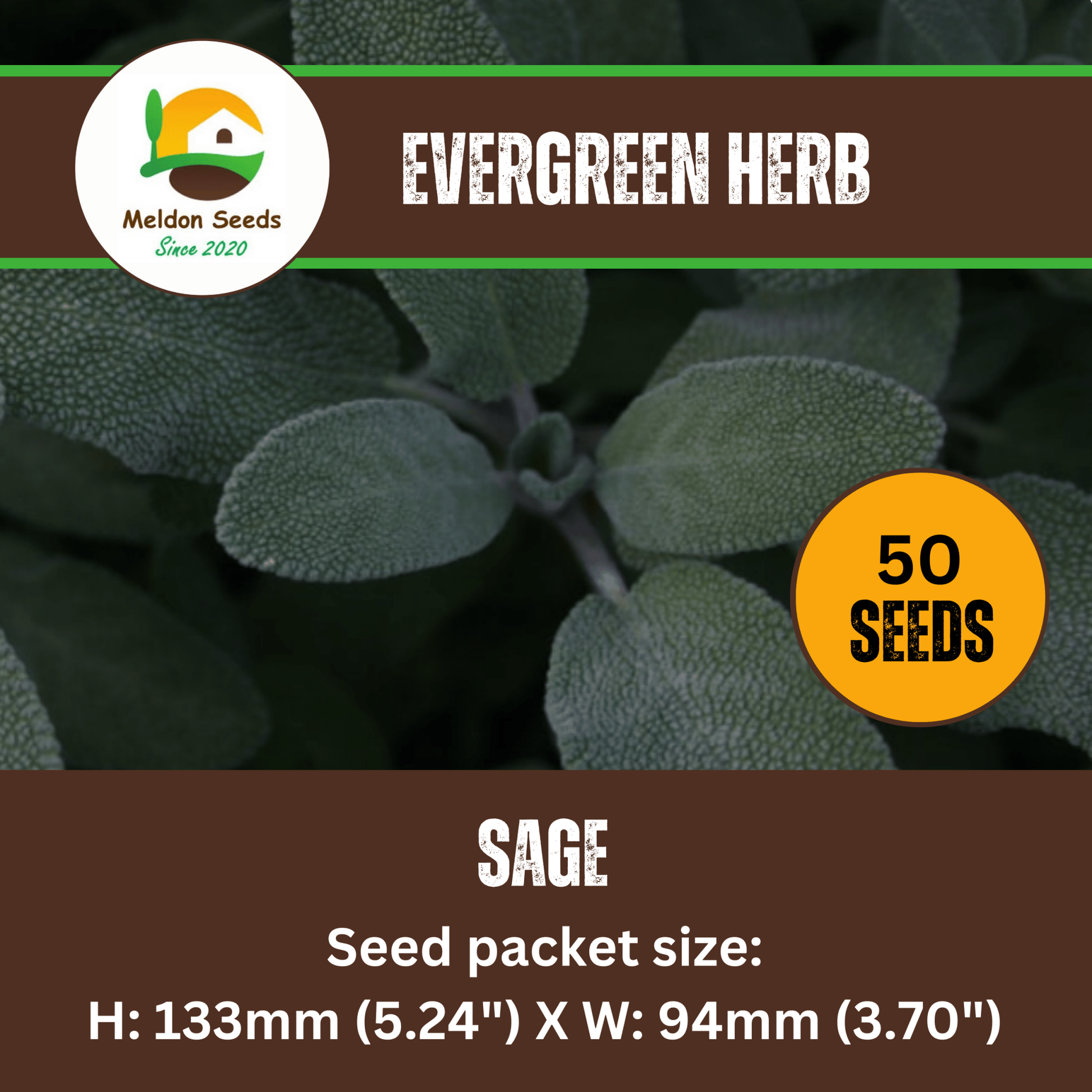 Sage 50 Seeds - Chartley Chucks