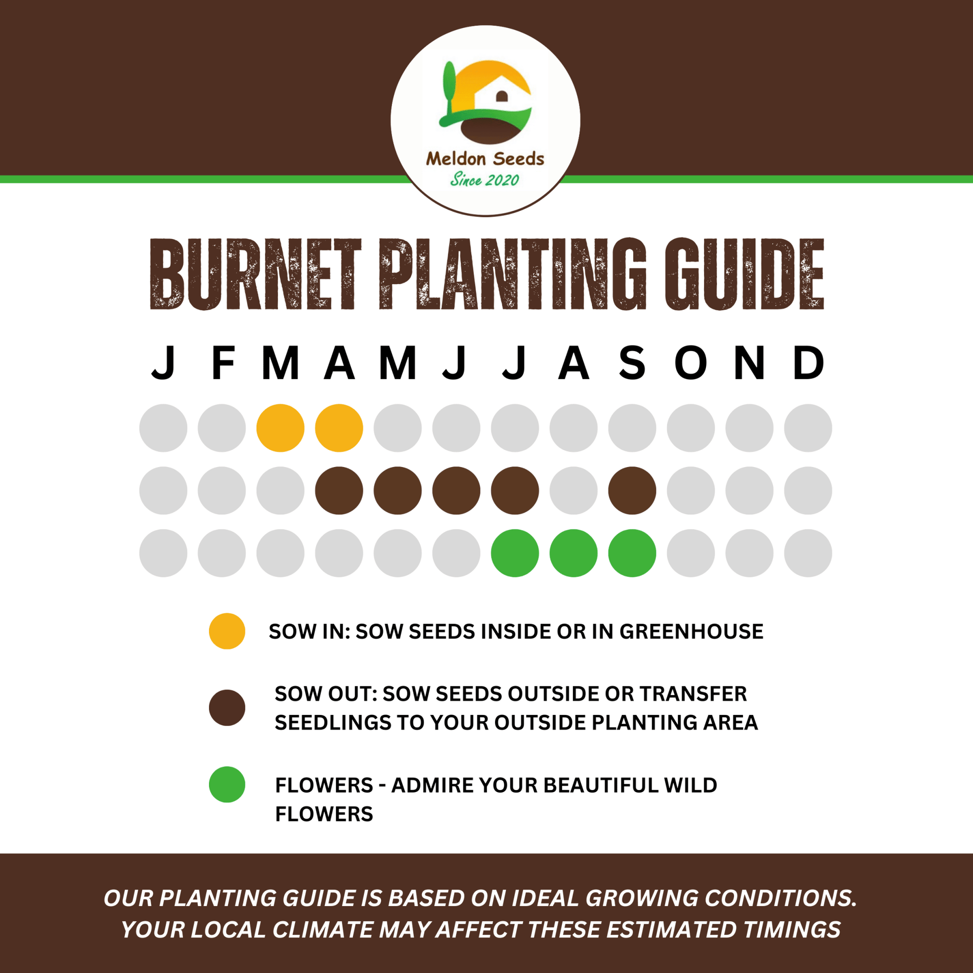 Salad Burnet Seeds - 130 Native UK Wild Flower Seeds for Attracting Birds, Bees, Wildlife, Pollinators, Suitable for Planting and Growing Outdoors in Meadows, Fields and Gardens by Meldon Seeds - Chartley Chucks