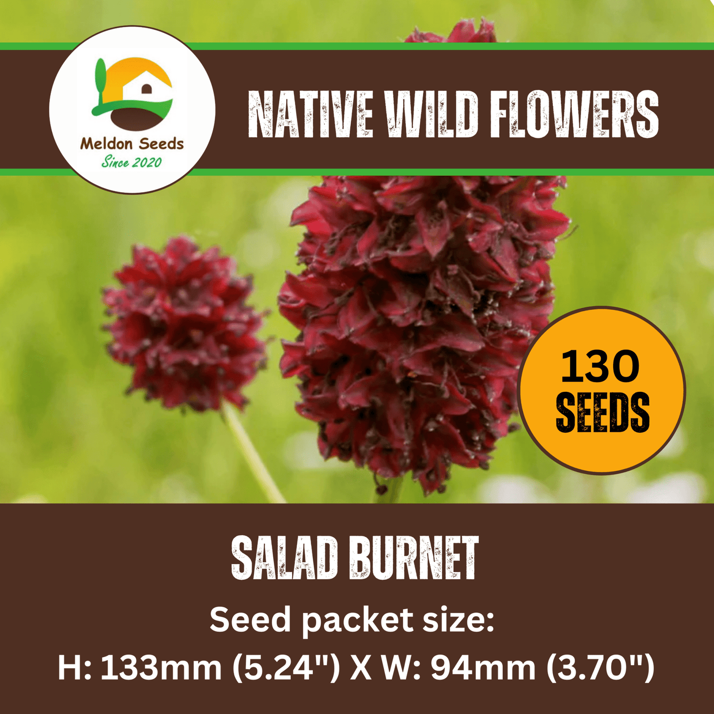 Salad Burnet Seeds - 130 Native UK Wild Flower Seeds for Attracting Birds, Bees, Wildlife, Pollinators, Suitable for Planting and Growing Outdoors in Meadows, Fields and Gardens by Meldon Seeds - Chartley Chucks
