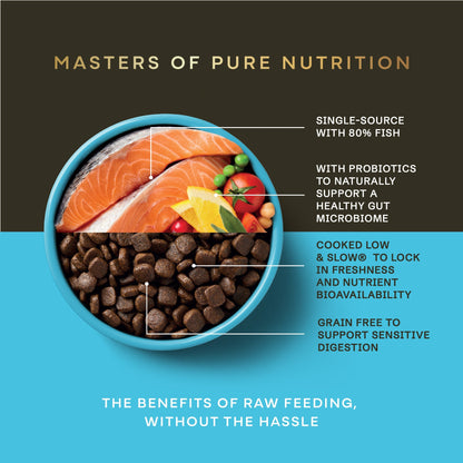 Salmon Dry Dog Food - Chartley Chucks