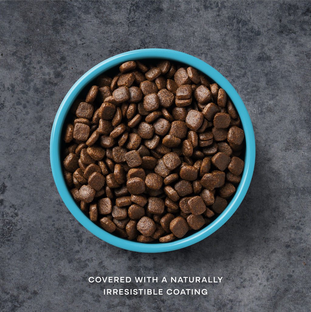 Salmon Dry Dog Food - Chartley Chucks