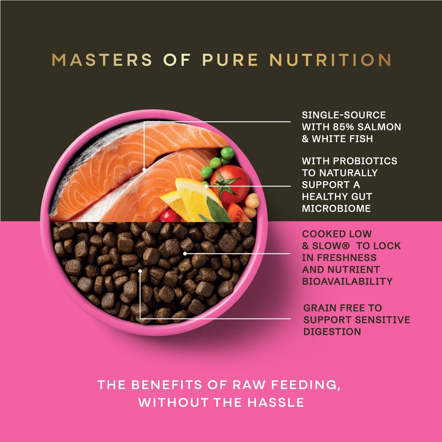 Salmon Dry Food for Puppies - Chartley Chucks